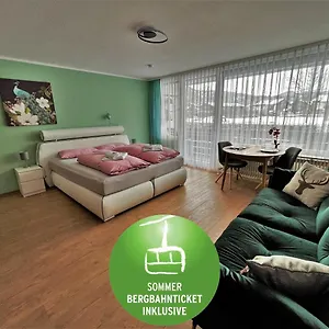  Apartment Ifenblick Mit Netflix Und Sommer-bergbahnticket